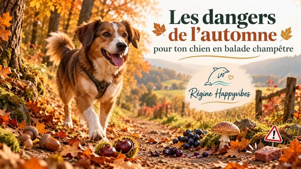 Danger automne chien regine happyvibes