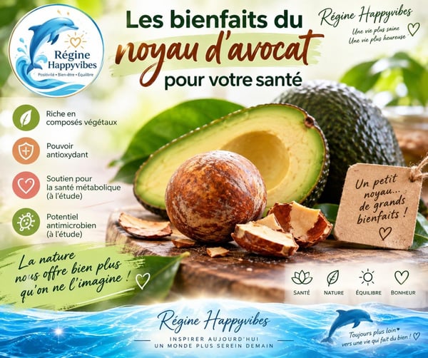 Noyau avocat regine happyvibes