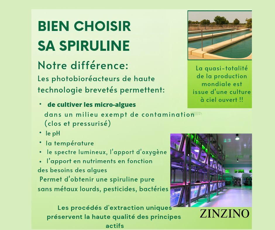 Spiruline culture